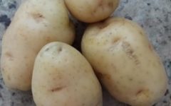 Benefícios da Batata Inglesa – Indicações, Nutrientes, Vitaminas, Minerais e Calorias da Batata Comum