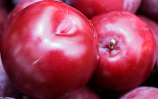 Vitaminas da Ameixa Vermelha, Preta, Branca e Amarela – Nutrientes e Benefícios para a Saúde