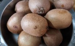 Vitaminas do Kiwi – Nutrientes e Benefícios do Kiwi para a Saúde, Origem do Kiwi
