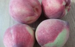 Vitaminas do Pêssego – Nutrientes, Benefícios do Pêssego para a Saúde, Informações Nutricionais