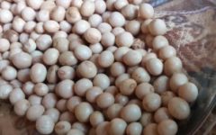 Cozinhar Soja – Dicas de Receitas com soja, Tempo de Cozimento, Como Retirar Gosto Forte da Soja e as Cascas