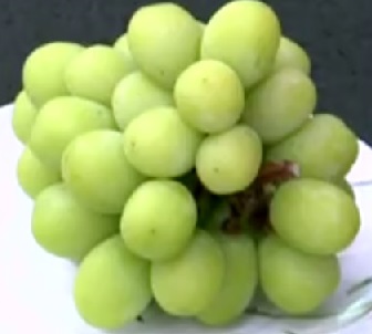 dieta-que-protege-o-coração-frutas-indicadas dieta-cardioprotetora-lista-frutas-