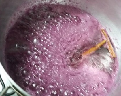 Doce de Ameixa Vermelha ou Preta – Compota ou Geleia de Ameixa para Servir com Sorvete ou Iogurte
