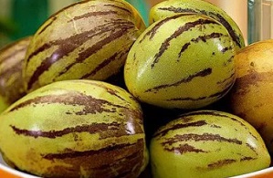 pancs-foto-muricato- pancs-foto-muricato-