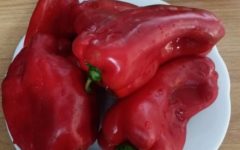 Dieta Nórdica – Dieta Nova Aprovada pela OMS – Como Funciona a Dieta Vicking