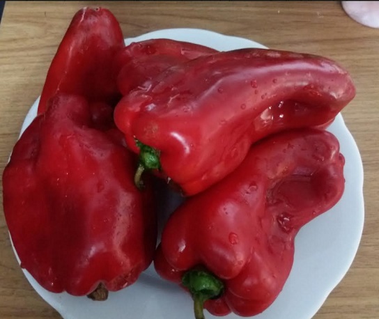 Dieta Nórdica – Dieta Nova Aprovada pela OMS – Como Funciona a Dieta Vicking