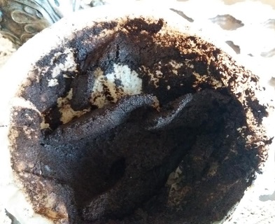 Usos da Borra de Café – Como Reutilizar a Borra de Café – Utilidades da Sobra do Pó de Café