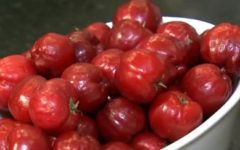 Benefícios da Acerola – Vitaminas da Acerola – Informações sobre os Nutrientes da Fruta