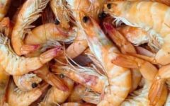 Benefícios do Camarão para a Saúde – Informações Nutricionais do Camarão, Vitaminas e Minerais do Camarão
