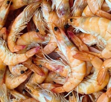 Benefícios do Camarão para a Saúde – Informações Nutricionais do Camarão, Vitaminas e Minerais do Camarão