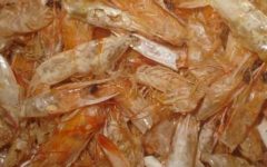 Como Usar Cascas de Camarão como Adubo Orgânico – Restos de Peixe como Fertilizante