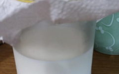 Meu Kefir Não Está se Multiplicando – O Que Fazer para Aumentar os Grãos de Kefir