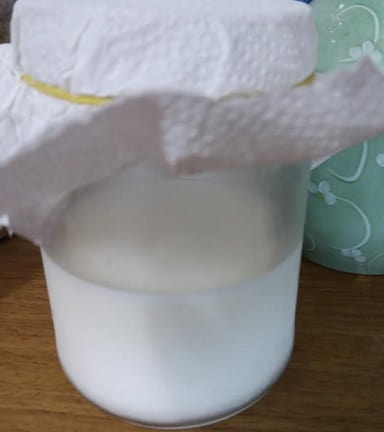 Meu Kefir Não Está se Multiplicando – O Que Fazer para Aumentar os Grãos de Kefir