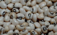Feijão de Corda ou Feijão Fradinho – Nutrientes, Estudos sobre seus Benefícios para Saúde e Como Fazer