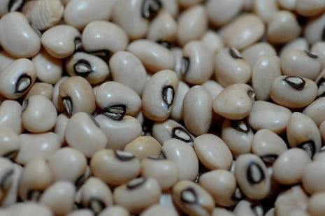 Feijão de Corda ou Feijão Fradinho – Nutrientes, Estudos sobre seus Benefícios para Saúde e Como Fazer