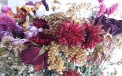 Como Desidratar Flores do Campo – Secar Flores no Micro-ondas ou Ar Livre
