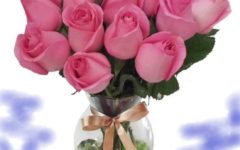 Como Fazer Rosas Durarem Mais no Vaso Dicas para Conservar Mais Flor na Água