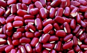 feijão-vermelho-dieta-japonesa-