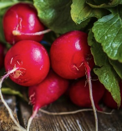 Vitaminas do Rabanete – Nutrientes, Benefícios e Origem do Rabanete