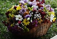 Flores do Campo na Decoração – Significados e Simbologia das Flores