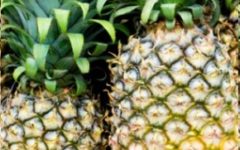 Chá de Cascas de Abacaxi Como Fazer chá Gelado, Quente e Nutrientes