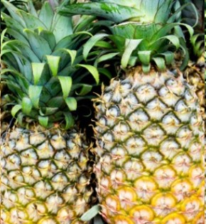Chá de Cascas de Abacaxi Como Fazer chá Gelado, Quente e Nutrientes