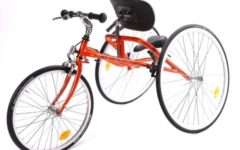 Petra Bicicleta com 3 Rodas para Pessoas com Deficiência Física e Idosos