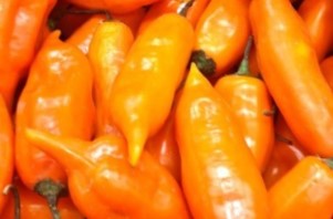Tipos de Pimenta e Grau de Ardência – Pimenta mais Ardida do Mundo