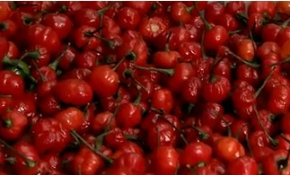 tipos-de-pimenta