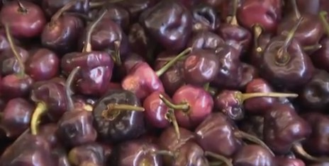 vitaminas-da-pimenta-roxa-