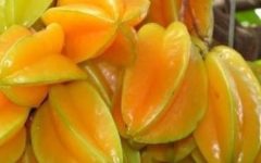 Suco de Carambola – Propriedades Nutricionais e Contraindicações para os Rins