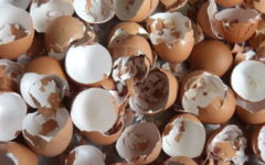 Fertilizante Caseiro com Cascas de Ovos e Pó de Café Usado – Adubo Orgânico