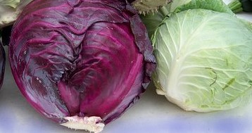 Remédio Caseiro contra Abcessos e Inflamações Desinflamar com Plantas 