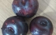Chá de Ameixa Vermelha Fresca – Como Fazer e Nutrientes