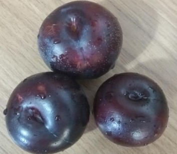 Chá de Ameixa Vermelha Fresca – Como Fazer e Nutrientes