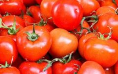 Como Fazer Bokashi  Fertilizante ou Adubo Orgânico para Hortaliças