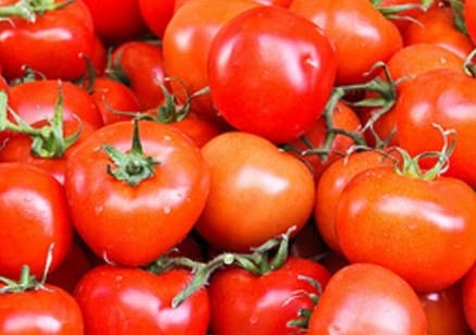 Como Fazer Bokashi  Fertilizante ou Adubo Orgânico para Hortaliças