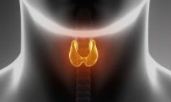 Sintomas do Hipotireoidismo – Causas, Tratamento e Complicações