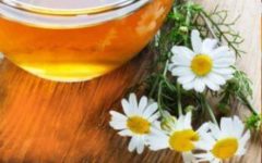 Chás para proteger o Estômago – Indicação de Protetor Gástrico Natural