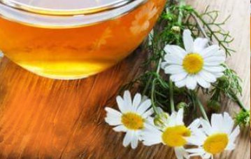Chás para proteger o Estômago – Indicação de Protetor Gástrico Natural
