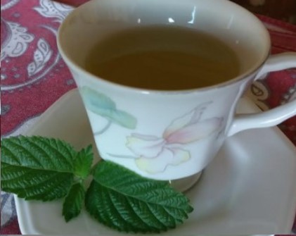 chás-para-depressão-como-fazer-infusão-