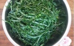 Como Fazer Couve Durar Mais Tempo na Geladeira Receitas com Couve