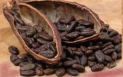 Dia Mundial do Chocolate – Curiosidades sobre Chocolate
