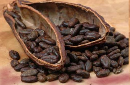 Dia Mundial do Chocolate – Curiosidades sobre Chocolate