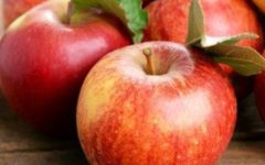 Dieta Sem Carboidratos – Benefícios e Erros na Dieta para Emagrecer