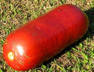 Melão Cruá, Melão Caboclo, Caipira Vitaminas e Benefícios para a Saúde