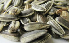 Semente de Girassol Benefícios a Saúde – Nutrientes e Vitaminas