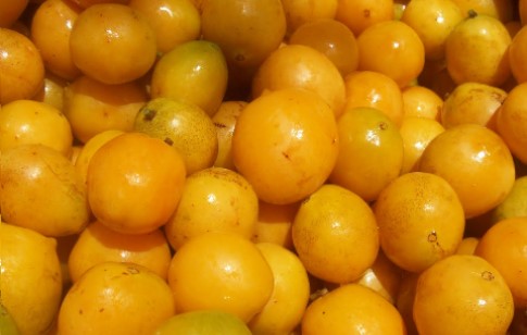 que-frutas-comer-aos-50-anos-70-anos-