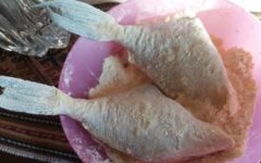 Peixe Porquinho Frito –  Como Empanar e Fritar Peixe em Postas
