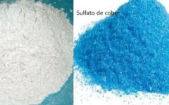 Calda Bordalesa – O Que É, Como Preparar, Onde Usar e Cuidados